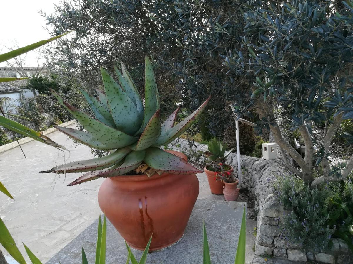 Casa Degli Avi Don Neli, Immersa Nella Natura Модика Екстериор снимка