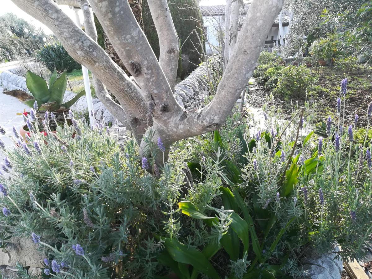 Casa Degli Avi Don Neli, Immersa Nella Natura Модика Екстериор снимка