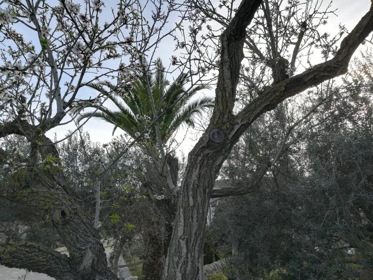 Casa Degli Avi Don Neli, Immersa Nella Natura Модика Екстериор снимка